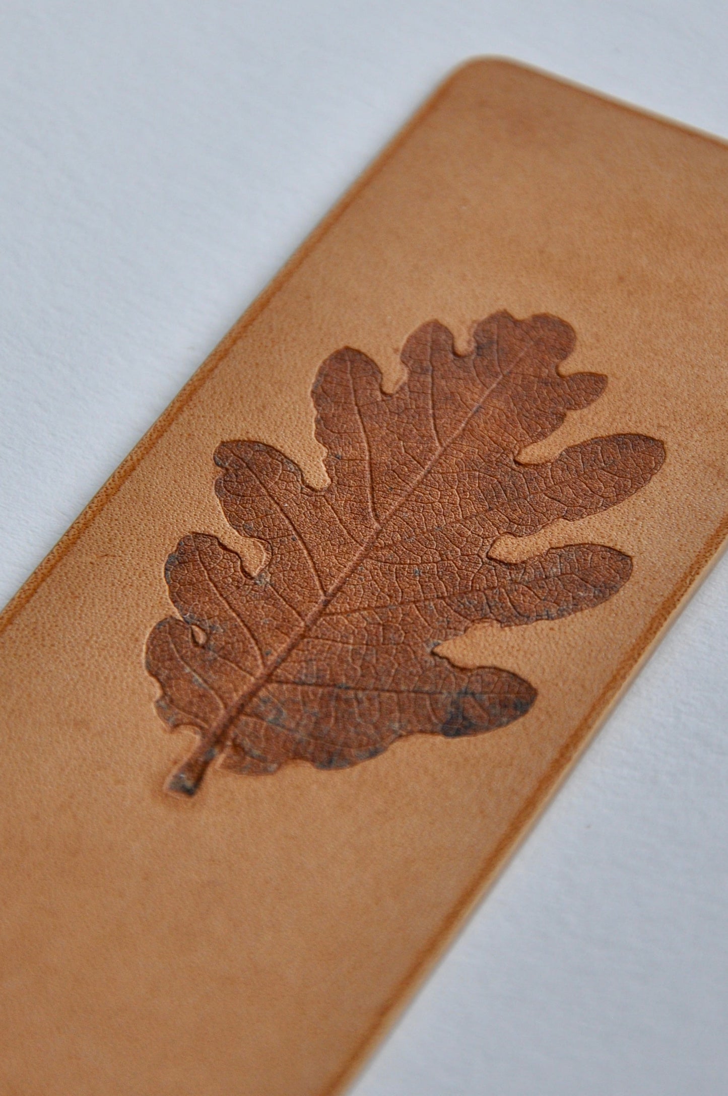 feuille de chêne gaufrée dans un cuir pleine fleur