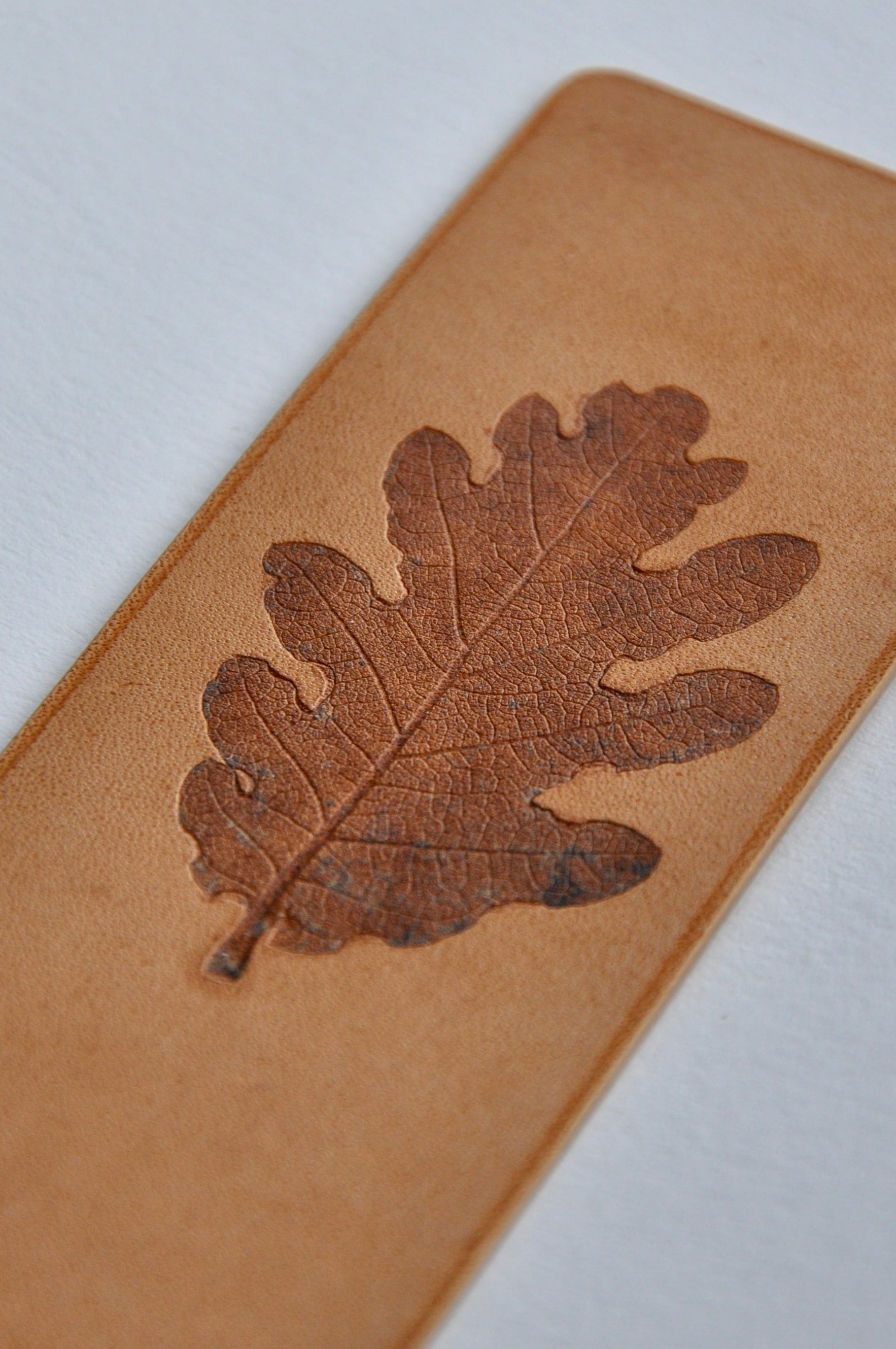 feuille de chêne gaufrée dans un cuir pleine fleur
